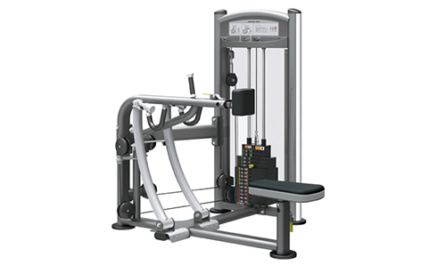 坐式背肌訓練器