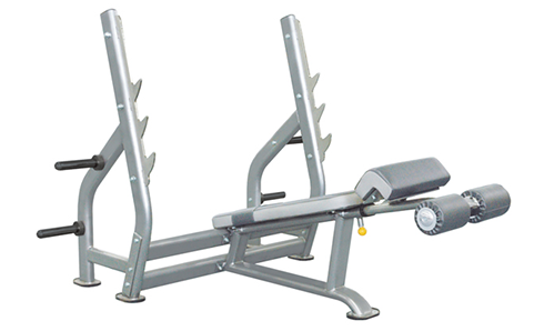 奧林匹克斜下推舉椅