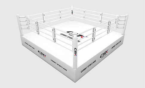 綜合搏擊擂臺(tái)