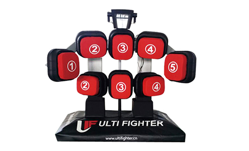 擊打力訓練測試系統 Speed & Punch