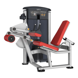 坐式屈腿訓(xùn)練器 坐式屈腿訓(xùn)練器