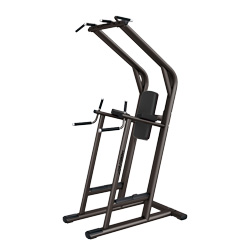 單雙杠及提腿腹肌組合練習器