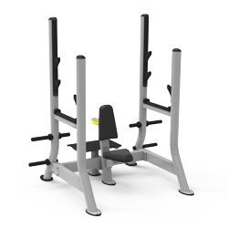 奧林匹克推肩椅