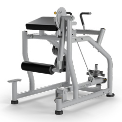 反向背部伸展訓練器