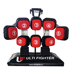 擊打力訓練測試系統(tǒng) Speed & Punch