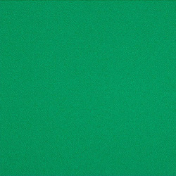 綠色水晶沙PVC運動地板（新款）