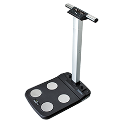 智能體脂秤 智能體脂秤