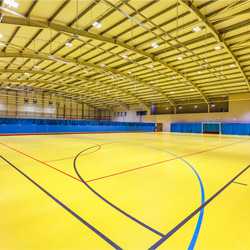 運動競技PVC運動地板